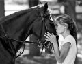 Click to view big image horse-kisses.jpg